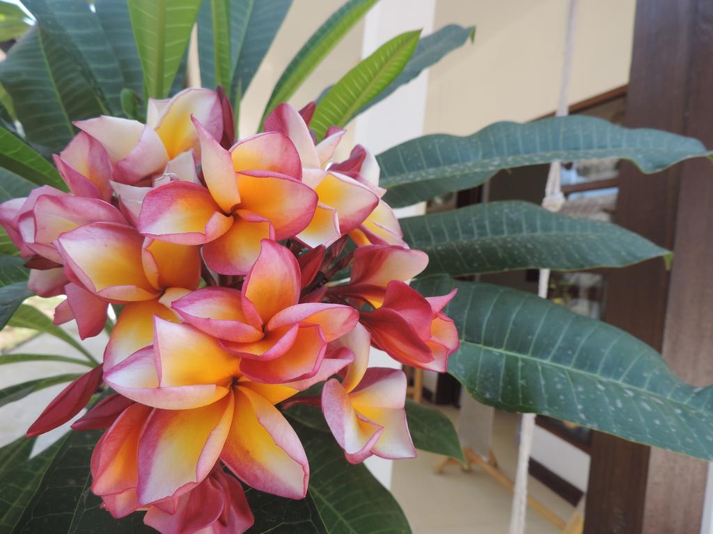 Casus Dream Hotel Quần đảo Gili Ngoại thất bức ảnh