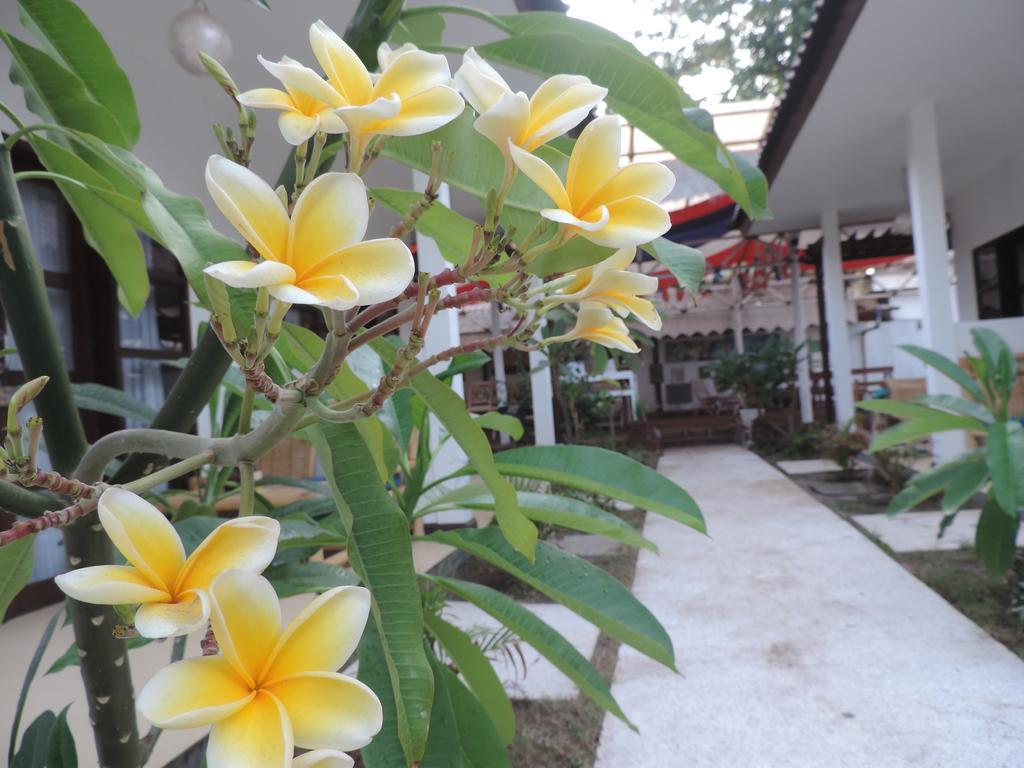 Casus Dream Hotel Quần đảo Gili Ngoại thất bức ảnh